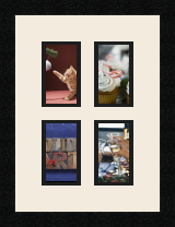 passe partout  4 - 8x13 photos