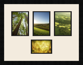 passe partout  3 - 13x18 and 1 - 15x10 photos