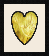 passe partout  1 - 20x25 photos