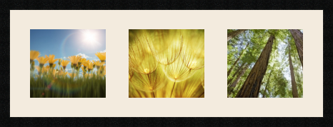 passe partout  3 - 24x22 photos