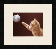 passe partout  1 - 23x18 photos