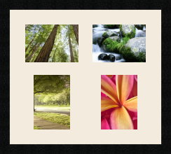 passe partout  2 - 18x13 and 2 - 13x18 photos