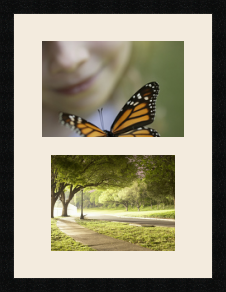 passe partout  1 - 32x22 and 1 - 28x22 photos