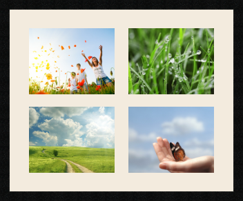 passe partout  4 - 28x22 photos