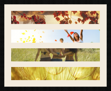 passe partout  4 - 62x10 photos