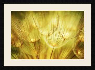 passe partout  1 - 60x40 photos