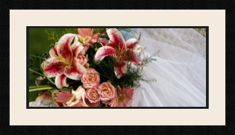 passe partout  1 - 55x25 photos