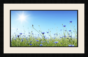 passe partout  1 - 55x30 photos