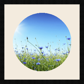 passe partout  1 - 40x40 photos