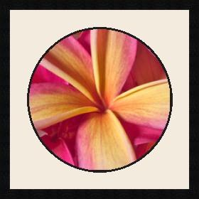 passe partout  1 - 43x43 photos