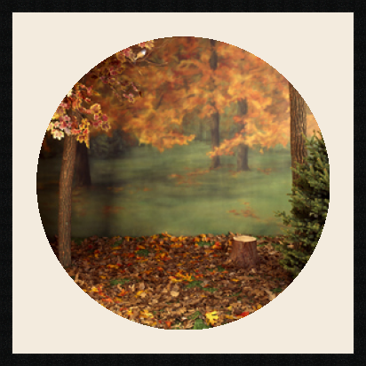 passe partout  1 - 70x70 photos