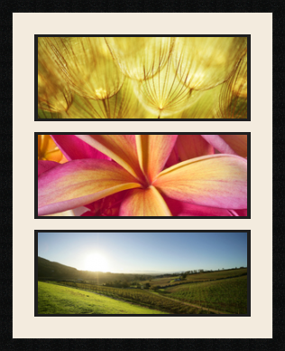 passe partout  3 - 50x20 photos