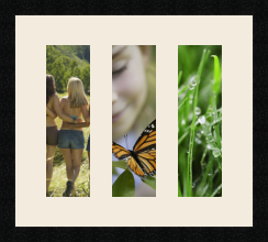 passe partout  3 - 10x30 photos