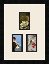 passe partout  3 - 8x13 photos