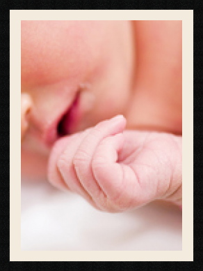 passe partout  1 - 50x70 photos