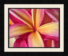 passe partout  1 - 35x28 photos