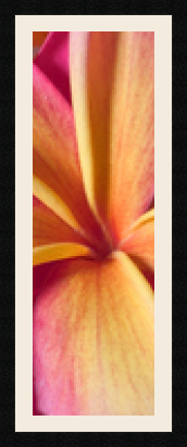 passe partout  1 - 25x75 photos