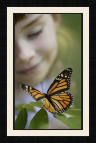 passe partout  1 - 30x50 photos