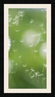 passe partout  1 - 30x60 photos