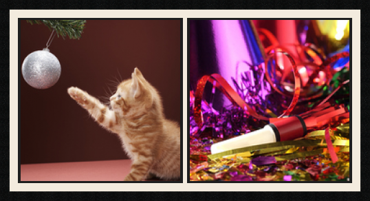 passe partout  2 - 50x50 photos