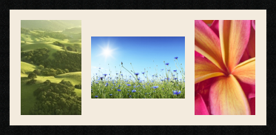 passe partout  2 - 20x30 and 1 - 30x20 photos