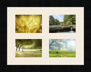 passe partout  4 - 13x9 photos