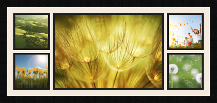 passe partout  4 - 15x15 and 1 - 45x32 photos