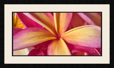 passe partout  1 - 60x30 photos