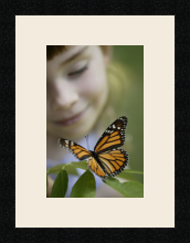 passe partout  1 - 20x30 photos