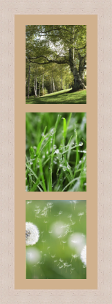 RK CADRES le numéro un encadrement 