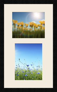 passe partout  1 - 25x20 and 1 - 22x28 photos