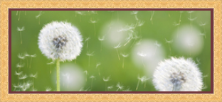 RK CADRES le numéro un encadrement 