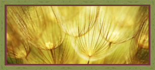 RK CADRES le numéro un encadrement 