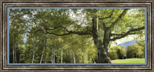 RK CADRES le numéro un encadrement 