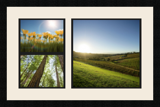 passe partout  2 - 20x15 and 1 - 30x30 photos