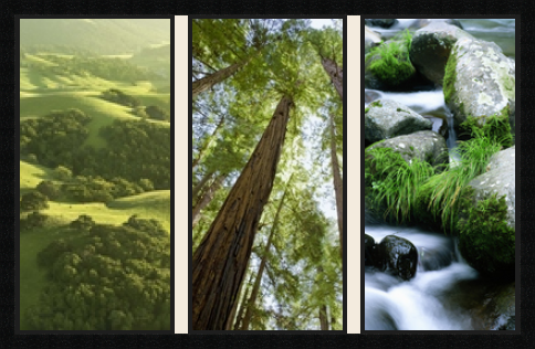 passe partout  3 - 30x60 photos