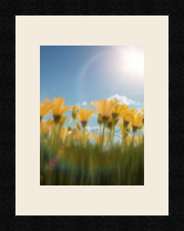 passe partout  1 - 22x28 photos