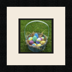 passe partout  1 - 15x15 photos