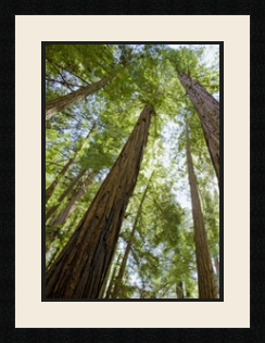 passe partout  1 - 35x50 photos