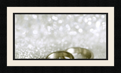 passe partout  1 - 40x20 photos