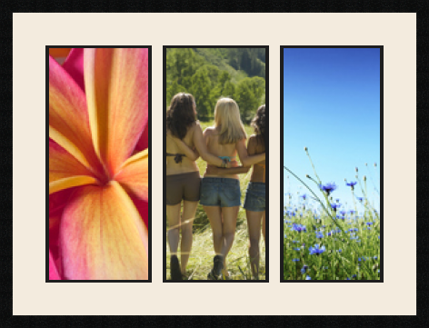 passe partout  2 - 25x55 and 1 - 24x55 photos