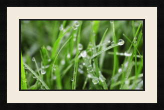 passe partout  1 - 53x30 photos