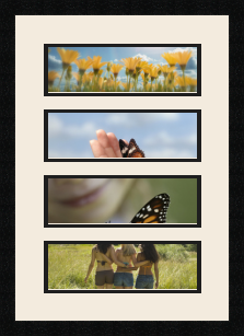 passe partout  4 - 30x10 photos