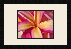 passe partout  1 - 27x20 photos