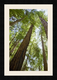 passe partout  1 - 28x43 photos