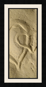 passe partout  1 - 20x48 photos