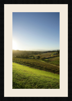 passe partout  1 - 35x55 photos