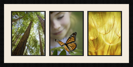 passe partout  3 - 25x33 photos