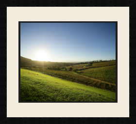 passe partout  1 - 43x35 photos