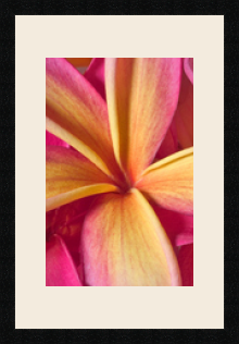 passe partout  1 - 30x45 photos